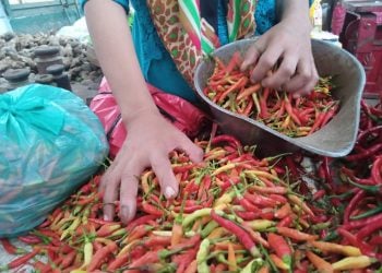 harga bumbu dapur.