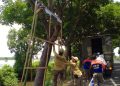 Satpol PP Tuban.