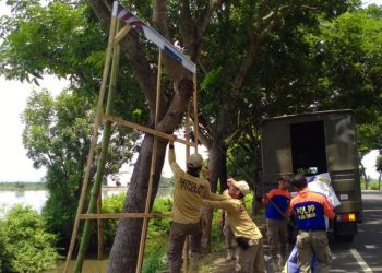 Satpol PP Tuban.