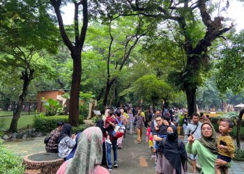 Kebun Binatang Surabaya
