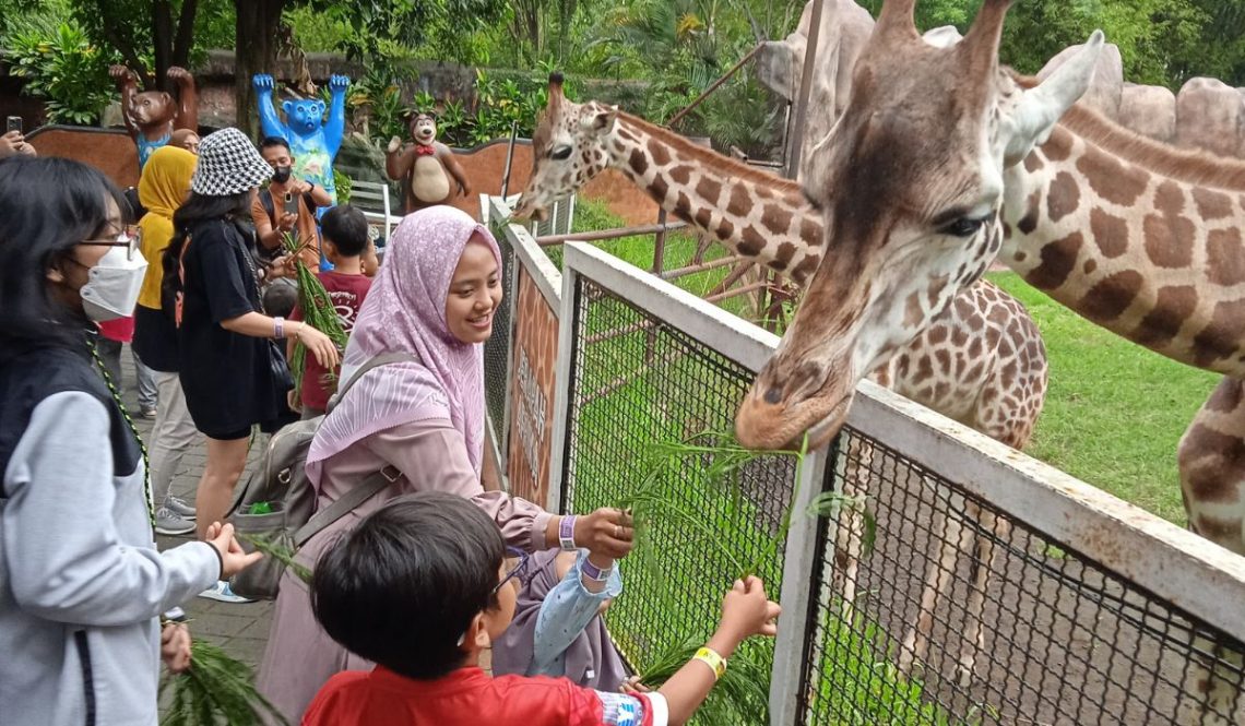 Harga Tiket Batu Secret Zoo dan Wahananya, Ada Satwa Dari Hutan Amazon Hingga Padang Afrika 5 harga tiket batu secret zoo