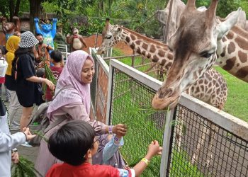 harga tiket batu secret zoo