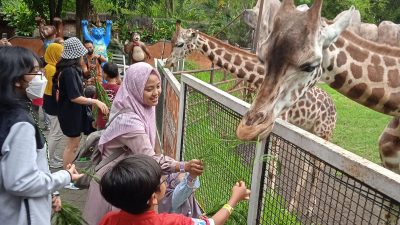 harga tiket batu secret zoo