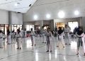 Taekwondo
