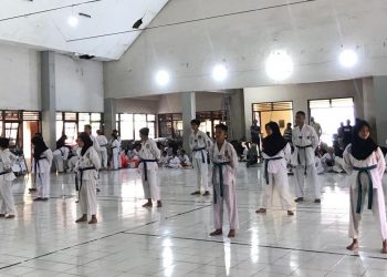 Taekwondo
