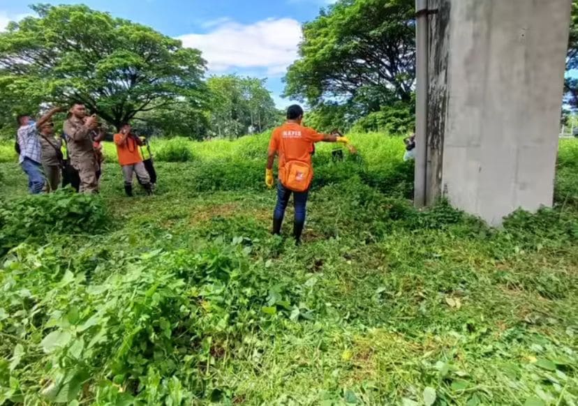Penemuan Kerangka Manusia Bersarung Hijau, Jasad Diduga Laki-Laki Tergeletak di Bundaran Waru Pintu Masuk Surabaya 1 Penemuan kerangka.