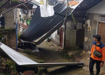 Angin Kencang Menerjang, Pohon hingga Atap Seng TPS Pasar Induk Kota Batu "Terbang": 3 Rumah Rusak 1 Angin kencang.
