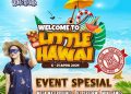 Welcome to Little Hawai.