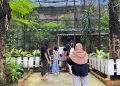 Kebun Binatang Surabaya.