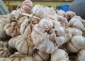 Harga bumbu dapur.