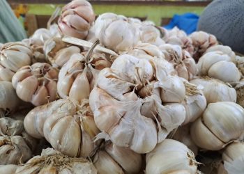 Harga bumbu dapur.