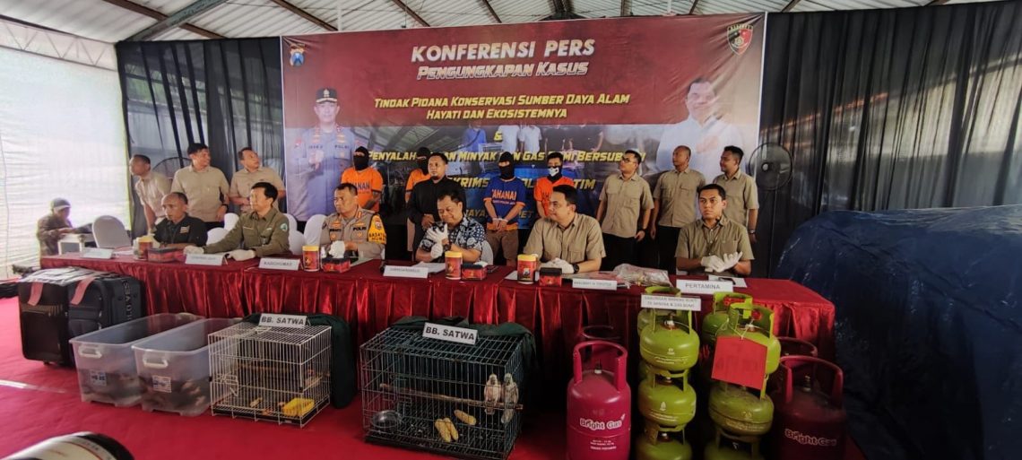 Perdagangan Ribuan Satwa Dilindungi, Polda Jatim Ringkus 2 Tersangka asal Surabaya dan Gresik 1 Polda Jatim.