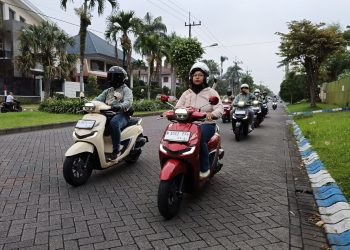 Stylo Fashion Urban City Rolling.