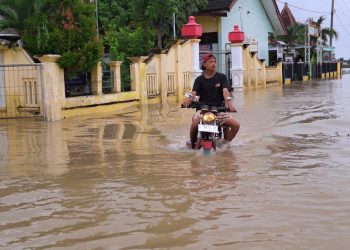 Banjir Tuban 1