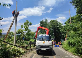 Tiang listrik dan kabel.