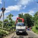 Tiang Listrik dan Kabel PLN di Sumawe Malang Roboh Ditimpa Pohon: Jaringan Sempat Mati 14 Tiang listrik dan kabel.