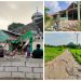 Dampak Gempa