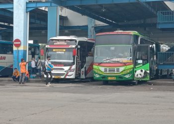 Mudik gratis.