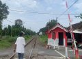 Bunuh Diri