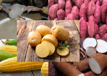 Beras Mahal? Ini Dia 7 Daftar Makanan Alternatif Pengganti Nasi Lengkap dengan Resep Olahan yang Kekinian 1 Makanan alternatif pengganti nasi.