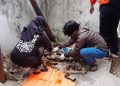 Tulang Manusia
