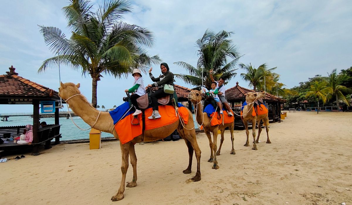Intip Harga Tiket Wisata Bahari Lamongan, Ada 40 Wahana Seru dan Fasilitas Super Lengkap 7 fasilitas di Wisata Bahari Lamongan