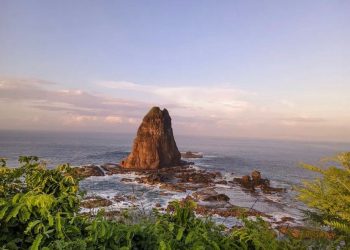 Papuma Jember