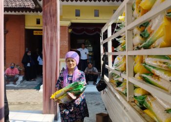 Pasar murah