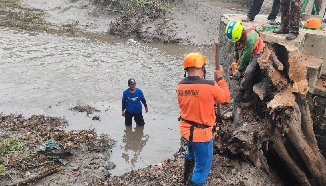 Pohon Tumbang