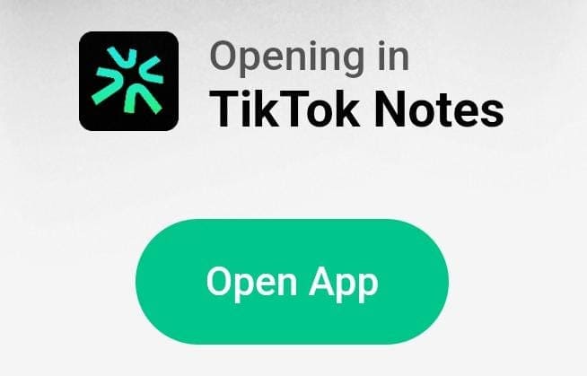 Aplikasi TikTok Notes.