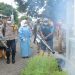 Fogging Serentak di Kabupaten Mojokerto, Upaya Antisipasi Lonjakan Kasus DBD 8 Kasus DBD.