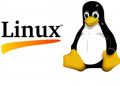 Sistem operasi Linux.