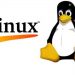 Paling Populer di Dunia Komputasi! Yuk Mengenal Sistem Operasi Linux: Beri Kebebasan, Kinerja, dan Fleksibilitas bagi Pengguna 8 Sistem operasi Linux.