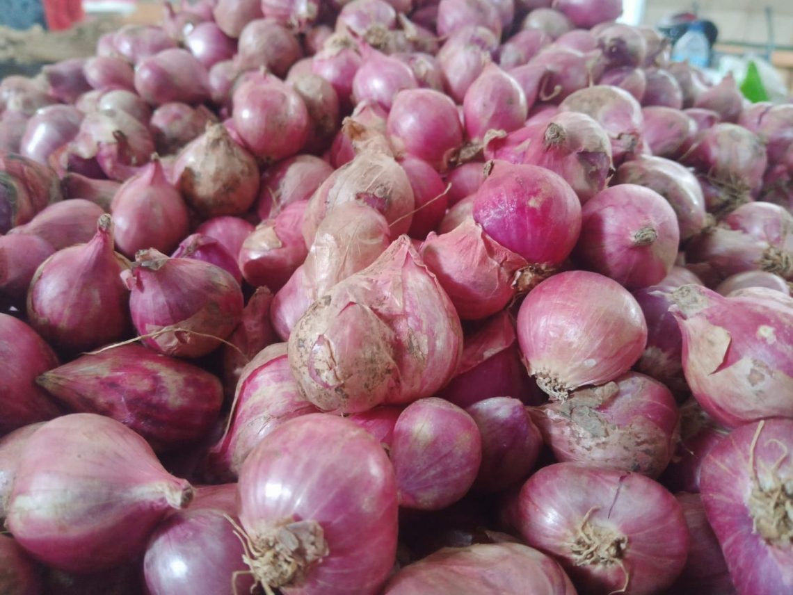 Bawang merah.