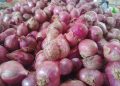 Bawang merah.