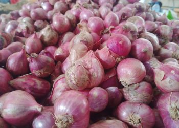 Bawang merah.