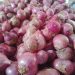 Bawang merah.