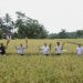 Pupuk Organik Sukses Tingkatkan Produksi Pertanian di Jember, Kerisauan Bupati Teratasi 8 Pupuk organik.