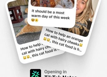 TikTok Notes.