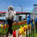 Wisata Malang Dreamland, Daya Tarik, Harga Tiket, Rute dan Jam Buka saat Libur Lebaran 8 Dreamland 3