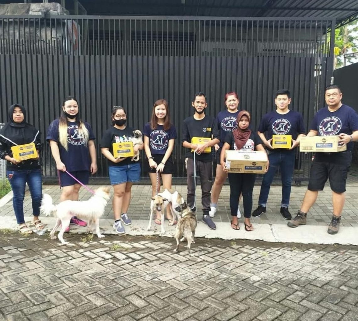 Kasus Penganiayaan Anjing Maltese hingga Mati di Jember, Banjir Simpati Yayasan Manggala Satwa Indonesia hingga Tiara Andini 1 Penganiayaan anjing Maltese.