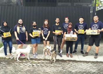 Kasus Penganiayaan Anjing Maltese hingga Mati di Jember, Banjir Simpati Yayasan Manggala Satwa Indonesia hingga Tiara Andini 1 Penganiayaan anjing Maltese.