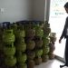 Gas Elpiji Subsidi Ukuran 3 Kg di Tuban Langka Sejak Dua Pekan Terakhir 8 elpiji langka
