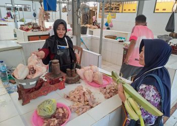 Daging Ayam