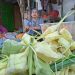 Selongsong Ketupat