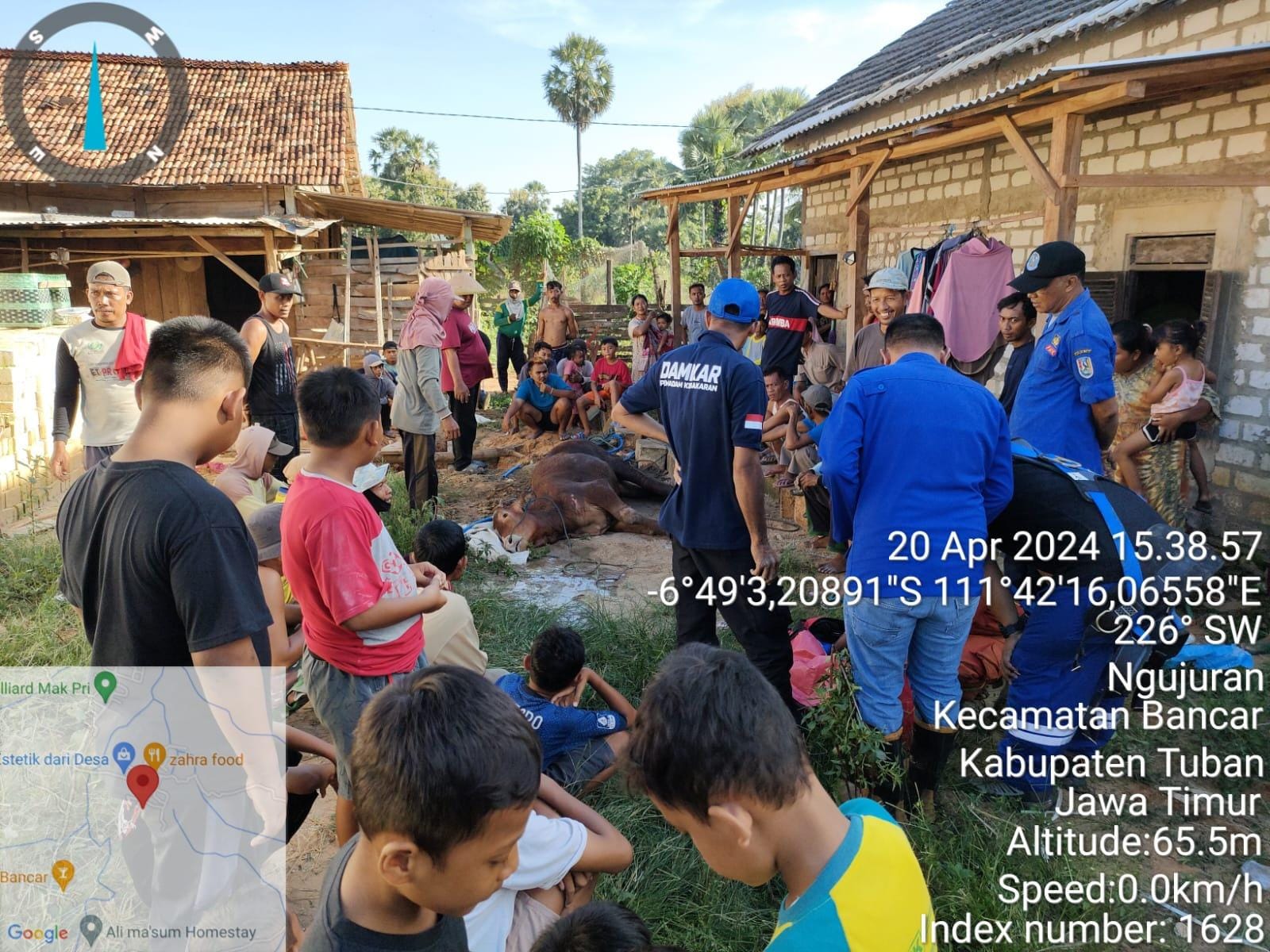 sapi 2