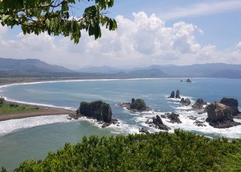 Teluk Love Jember.