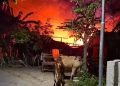 bangunan terbakar.