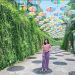 Jelajahi Taman Botani Sukorambi Jember, Cek Info Tiket Masuk Terbaru 2024 hingga Keseruannya saat Weekend 9 Taman Botani Sukorambi.