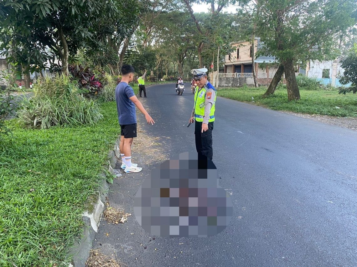 Kades Glanggang Pakisaji Tewas Kecelakaan Tunggal di Jalibar Kepanjen, Diduga Tabrak Median hingga Terpental 1 Kades Glanggang.
